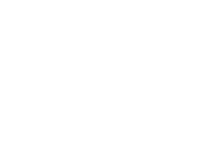 Cloud Nine Equine